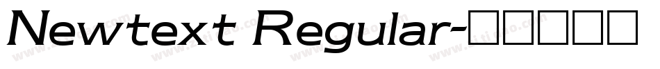 Newtext Regular字体转换